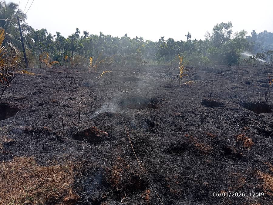ವಿದ್ಯುತ್ ತಂತಿ ತುಂಡಾಗಿ ಬಿದ್ದು ಸಂಭವಿಸಿದ ಬೆಂಕಿ ಅವಘಡದಿಂದ 3 ಎಕರೆಯಲ್ಲಿದ್ದ ‌ಅಡಿಕೆ, ಗೇರು ಮರಗಳು ಬೆಂಕಿಹಾಗುತಿಯಾಗಿವೆ
