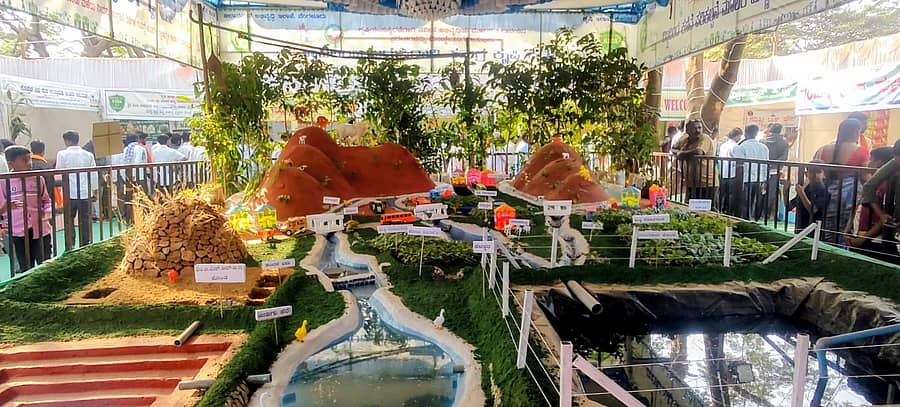 ಜಾತ್ರೆಯ ಕೃಷಿ ವಸ್ತು ಪ್ರದರ್ಶನದಲ್ಲಿ ಕಂಡು ಬಂದ ಜಲಾನಯನ ಮಾದರಿ