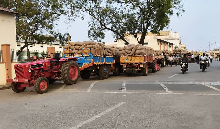 ಬ್ಯಾಡಗಿ ಎಪಿಎಂಸಿ ಪ್ರಾಂಗಣದ ತಾಲ್ಲೂಕಾ ಒಕ್ಕಲುತನ ಹುಟ್ಟುವಳಿ ಮಾರ್ಕೆಟಿಂಗ್‌ ಸೊಸೈಟಿ ಖರೀದಿ ಕೇಂದ್ರಕ್ಕೆ ತಂದಿರುವ ಗೋವಿನ ಜೋಳದ ಚೀಲಗಳನ್ನು ಹೊತ್ತ ಟ್ರ್ಯಾಕ್ಟರ್‌ಗಳು ಸಾಲಾಗಿ ನಿಲ್ಲಿಸಿರುವುದು.