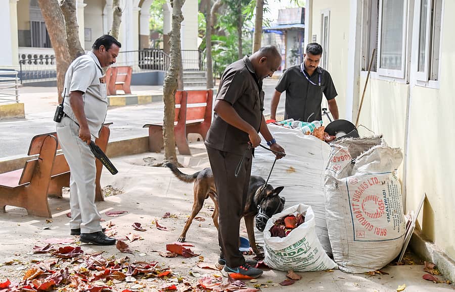 ಮೈಸೂರಿನ ಜಿಲ್ಲಾ ನ್ಯಾಯಾಲಯದಲ್ಲಿ ಪೊಲೀಸ್ ಇಲಾಖೆಯ ಶ್ವಾನದಳದ ತಂಡದ ಸಿಬ್ಬಂದಿ ತಪಾಸಣೆ ನಡೆಸಿದರು ಪ್ರಜಾವಾಣಿ ಚಿತ್ರ: ಅನೂಪ್ ರಾಘ ಟಿ.