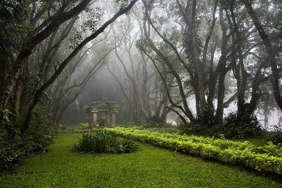 <div class="paragraphs"><p>ನಂದಿಬೆಟ್ಟದಲ್ಲಿನ ಮನಕ್ಕೆ ಮುದ ನೀಡುವ ಹಸಿರ ವಾತಾವರಣ</p></div>