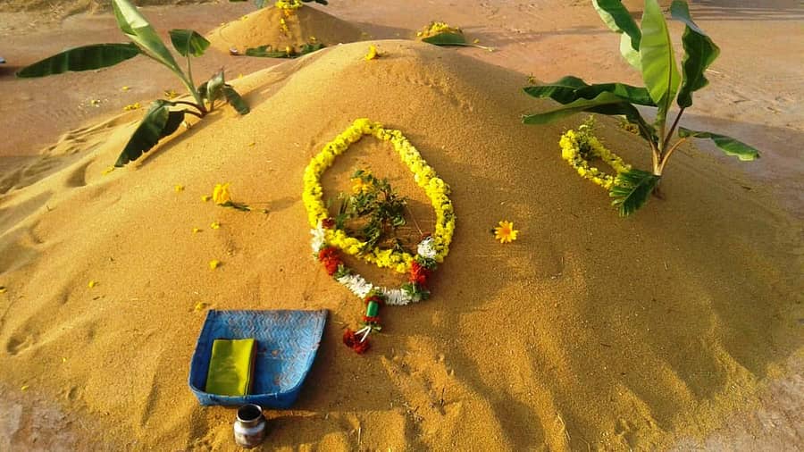 <div class="paragraphs"><p>ಸಂಕ್ರಾಂತಿ ಹಿನ್ನಲೆಯಲ್ಲಿ ಧಾನ್ಯದ ರಾಶಿಗೆ ಪೂಜೆ ಮಾಡಿರುವುದು.</p></div>