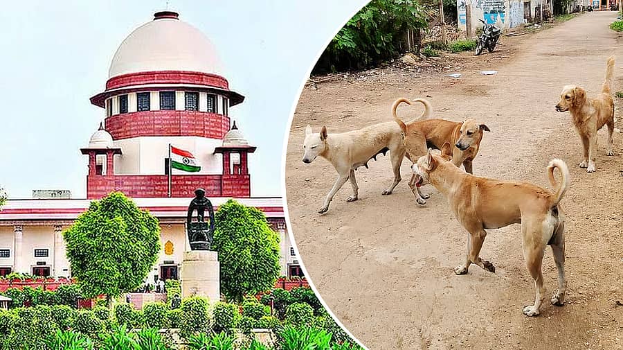 <div class="paragraphs"><p>ಸುಪ್ರೀಂ ಕೋರ್ಟ್ ಹಾಗೂ ಬೀದಿ ನಾಯಿಗಳು</p></div>