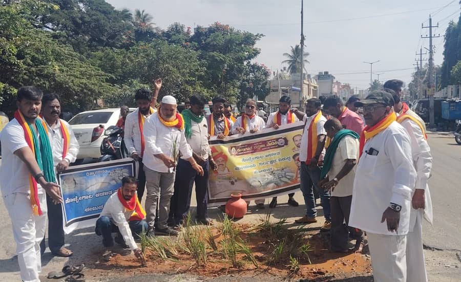 ಕೊಳ್ಳೇಗಾಲ ನಗರದ ರಸ್ತೆಗಳ ದುರಸ್ತಿಗೆ ಆಗ್ರಹಿಸಿ ಕರ್ನಾಟಕ ರಕ್ಷಣಾ ವೇದಿಕೆಯ ನಾರಾಯಣಗೌಡ ಬಣದ ಪದಾಧಿಕಾರಿಗಳು ರಸ್ತೆ ಗುಂಡಿಗಳಲ್ಲಿ ನಾಟಿ ಮಾಡಿ ಗುರುವಾರ ಪ್ರತಿಭಟನೆ ನಡೆಸಿದರು