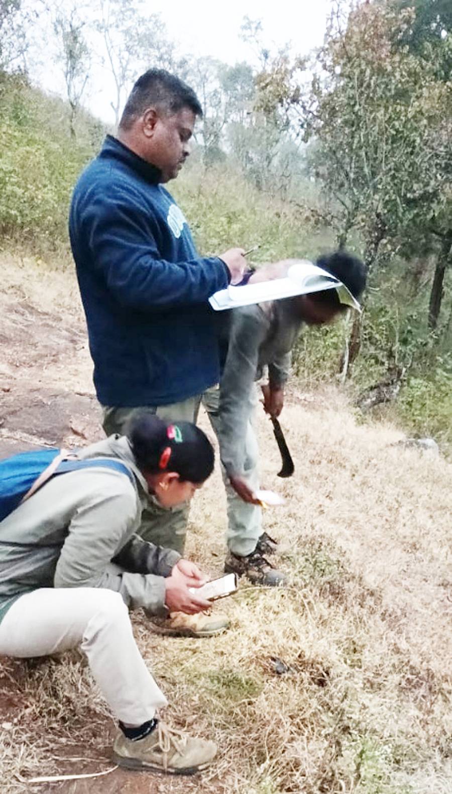 ಯಳಂದೂರು ವನ್ಯಜೀವಿ ವಿಭಾಗದಲ್ಲಿ ಹುಲಿ ಹೆಜ್ಜೆ ಗುರತು ದಾಖಲಿಸುತ್ತಿರುವ ಅರಣ್ಯ ಇಲಾಖೆ ಸಿಬ್ಬಂದಿ
