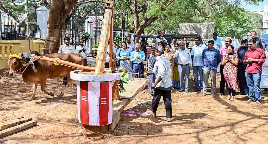 <div class="paragraphs"><p>ಮೈಸೂರಿನ ನಂಜರಾಜ ಬಹದ್ದೂರ್ ಛತ್ರದ ಆವರಣದಲ್ಲಿ ಆಯೋಜಿಸಿರುವ ‘ದೇಸಿ ಎಣ್ಣೆ ಮೇಳ’ದಲ್ಲಿ ಗಮನಸೆಳೆದ ಸಾಂಪ್ರದಾಯಿಕ ಎಣ್ಣೆ ಗಾಣ </p></div>