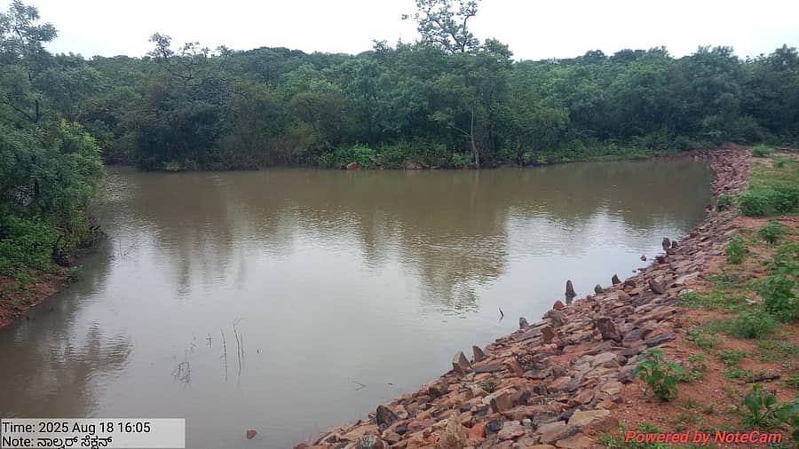 ಕಲಬುರಗಿಯ ಚಿತ್ತಾಪುರ ಅರಣ್ಯದಲ್ಲಿರುವ ಕೆರೆಯ ನೋಟ...
