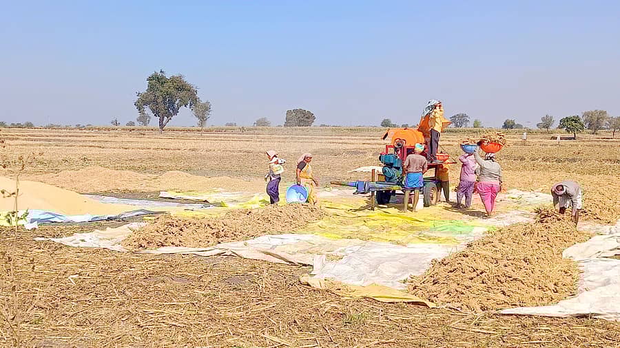 ಕಂಪ್ಲಿ ತಾಲ್ಲೂಕಿನ ಎಮ್ಮಿಗನೂರು ಗ್ರಾಮ ವ್ಯಾಪ್ತಿಯಲ್ಲಿ ಜೋಳ ಕಟಾವು ಬಳಿಕ ರೈತರು ಯಂತ್ರದಿಂದ ಒಕ್ಕಣೆ ಮಾಡಿದರು
