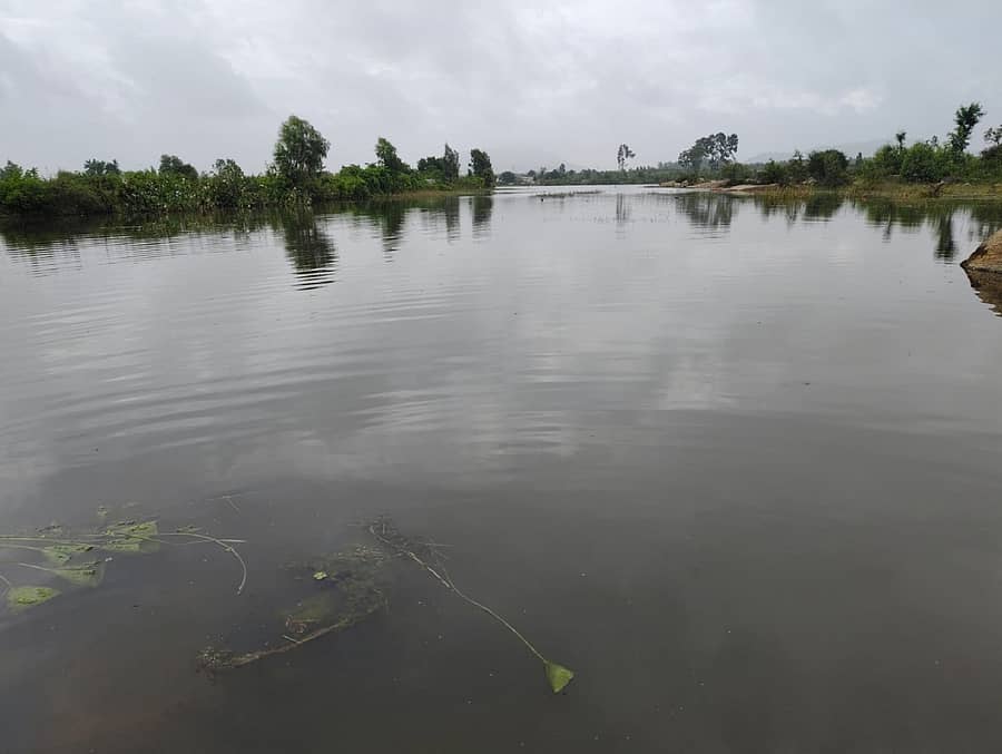 ಸಾಂದರ್ಭಿಕ ಚಿತ್ರ