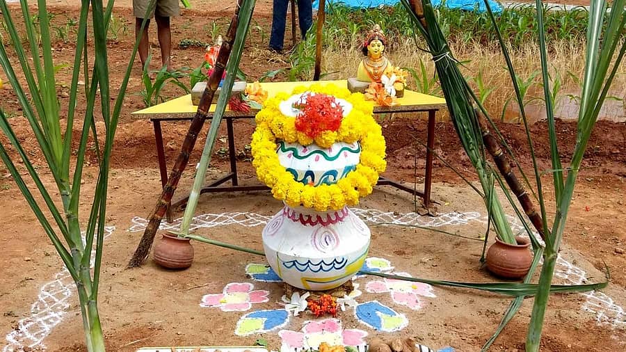 <div class="paragraphs"><p>ಪ್ರಾತಿನಿಧಿಕ ಚಿತ್ರ</p></div>