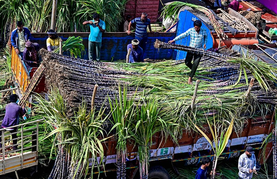 ಸಂಕ್ರಾಂತಿ ಹಬ್ಬದ ಅಂಗವಾಗಿ ಕೆ.ಆರ್‌. ಮಾರುಕಟ್ಟೆಯಲ್ಲಿ ಕಬ್ಬನ್ನು ಕಾರ್ಮಿಕರು ಲಾರಿಯಿಂದ ಅನ್‌ಲೋಡ್‌ ಮಾಡಿದರು
ಪ್ರಜಾವಾಣಿ ಚಿತ್ರ: ರಂಜು ಪಿ.