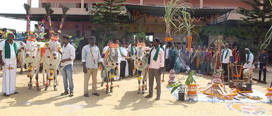 ಆನೇಕಲ್ ತಾಲ್ಲೂಕಿನ ಅತ್ತಿಬೆಲೆ-ಮಂಚನಹಳ್ಳಿ ರಸ್ತೆಯ ರೈನ್‌ ಬೋ ಪಬ್ಲಿಕ್‌ ಶಾಲೆಯಲ್ಲಿ ಸಂಕ್ರಾಂತಿ ಸುಗ್ಗಿ ಸಂಭ್ರಮ