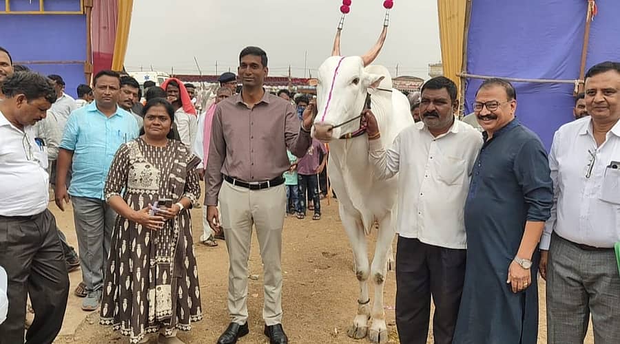 ವಿಜಯಪುರ ನಗರದ ತೊರವಿಯಲ್ಲಿನ ಜಾನುವಾರ ಜಾತ್ರೆ ಸ್ಥಳಕ್ಕೆ ಬುಧವಾರ ಭೇಟಿ ನೀಡಿದ ಜಿಲ್ಲಾಧಿಕಾರಿ ಆನಂದ ಕೆ. ಅವರು ಎತ್ತೊಂದನ್ನು ವೀಕ್ಷಿಸಿದರು 