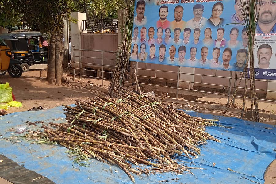 ಚನ್ನಗಿರಿ ಪಟ್ಟಣದ ಗಾಂಧಿ ವೃತ್ತದಲ್ಲಿ ಮಕರ ಸಂಕ್ರಾಂತಿ ಹಬ್ಬದ ಅಂಗವಾಗಿ ಬುಧವಾರ ಕಬ್ಬಿನ ಕೋಲುಗಳನ್ನು ಇಟ್ಟುಕೊಂಡು ವ್ಯಾಪಾರ ನಡೆಸುತ್ತಿರುವುದು.