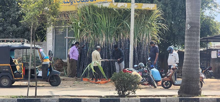 ಚಿಂತಾಮಣಿಯಲ್ಲಿ ಬುಧವಾರ ಜೋಡಿ ರಸ್ತೆಯಲ್ಲಿ ಮಾರಾಟಕ್ಕೆ ಬಂದಿರುವ ಕಬ್ಬಿನ ರಾಶಿ