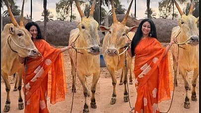 <div class="paragraphs"><p>ಸಂಕ್ರಾಂತಿ ಹಬ್ಬದ ಆಚರಿಸಿದ&nbsp;ವಿಜಯಲಕ್ಷ್ಮೀ</p></div>