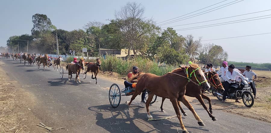 ಕಾಗವಾಡ ತಾಲ್ಲೂಕಿನ ಐನಾಪುರ ಪಟ್ಟಣದ ಸಿದ್ಧೇಶ್ವರ ಜಾತ್ರೆಯಕ್ಕು ಜೋಡು ಕುದುರೆ ಗಾಡಿಯ ಶರ್ಯತ್ತು ನಡೆಯಿತು