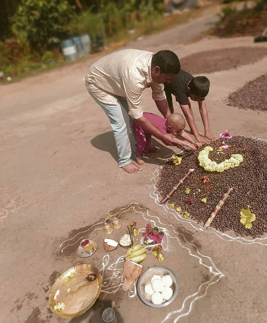 ಅಂಕಿಹಳ್ಳಿಪೇಟೆ ಗ್ರಾಮದ ಕಾಫಿ ಬೆಳೆಗಾರ ಎ. ಕೆ. ಪೋಷಿತ್‍ಕುಮಾರ್ ಕುಟುಂಬದವರು, ಸಂಕ್ರಾಂತಿ ಹಬ್ಬದ ಸಂದರ್ಭದಲ್ಲಿ ಕಣದಲ್ಲಿ ಕಾಫಿ ಕಾಳುಗಳನ್ನು ಗುಡ್ಡೆ ಮಾಡಿ ಪೂಜೆ ಸಲ್ಲಿಸಿದರು.  