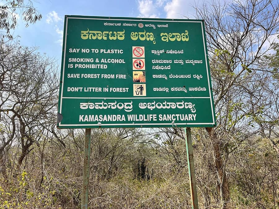 ಬಂಗಾರಪೇಟೆ ತಾಲ್ಲೂಕಿನ ಕಾಮಸಮುದ್ರ ಅಭಯಾರಣ್ಯದ ವ್ಯಾಪ್ತಿಯಲ್ಲಿರುವ ಕಾಡು