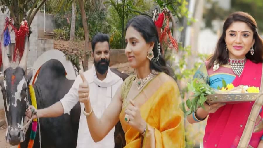 <div class="paragraphs"><p>ಚಂದನವನದ ತಾರೆಯರು ಸಂಭ್ರಮದಿಂದ ಸಂಕ್ರಾಂತಿ ಹಬ್ಬವನ್ನು ಆಚರಿಸಿದ್ದಾರೆ. ಸಾಮಾಜಿಕ ಜಾಲತಾಣಗಳಲ್ಲಿ ಫೋಟೊಗಳನ್ನು ಹಂಚಿಕೊಂಡಿದ್ದಾರೆ.</p></div>