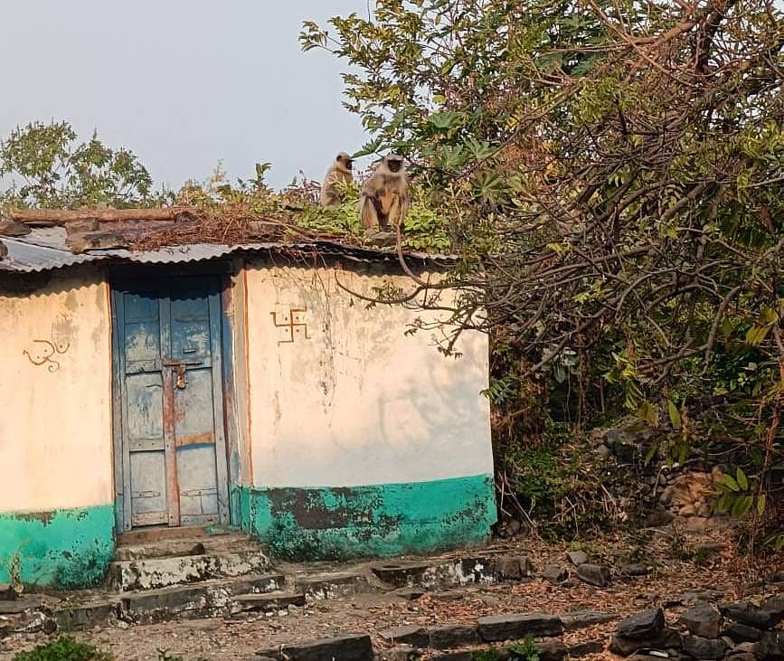 ಕಮಲನಗರ ತಾಲ್ಲೂಕಿನ ಚ್ಯಾಂಡೇಶ್ವರ ಗ್ರಾಮದಲ್ಲಿ ಮನೆಯ ಮೇಲೆ ಕುಳಿತಿರುವ ಮಂಗಗಳು