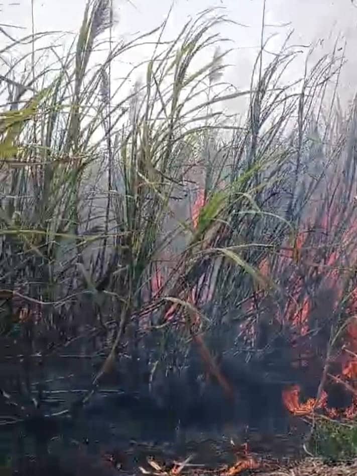 ಅಫಜಲಪುರ ತಾಲ್ಲೂಕಿನ ಗೊಬ್ಬರವಾಡಿ ವಿದ್ಯುತ್ ಶಾರ್ಟ್‌ ಸರ್ಕಿಟ್‌ನಿಂದ ಕಬ್ಬು ಬೆಳೆಗೆ ಬೆಂಕಿ ಹತ್ತಿರುವುದು