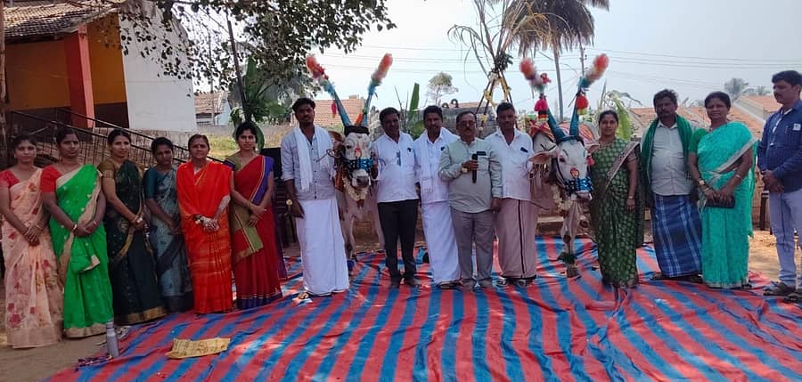 ಸಾಸ್ವೆಹಳ್ಳಿ ಸಮೀಪದ ಬೆನಕನಹಳ್ಳಿಯ ಪಿಎಂಶ್ರೀ ಶಾಲೆಯಲ್ಲಿ ಸಂಕ್ರಾಂತಿ ಉತ್ಸವ ಆಚರಿಸಲಾಯಿತು