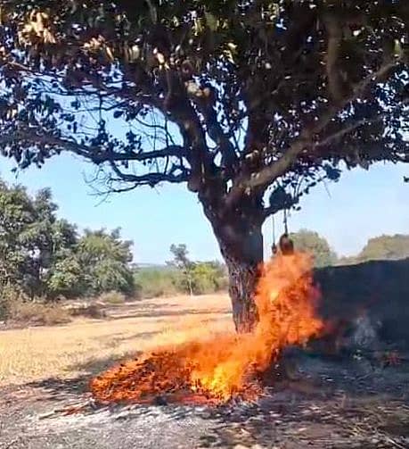 ದೊಡ್ಡಬಳ್ಳಾಪುರ ತಾಲ್ಲೂಕಿನ ಎಸ್‌.ನಾಗೇನಹಳ್ಳಿ ಗ್ರಾಮದ ರೈತ ವೆಂಕಟಪ್ಪ ಅವರ ಹುಲ್ಲಿನ ಬಣವೆ ಬೆಂಕಿಗೆ ಆಹುತಿಯಾಗಿರುವುದು  
