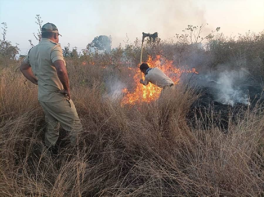 ಹುಣಸೂರು ತಾಲ್ಲೂಕಿನ ಗುರುಪುರ ಪಂಚಾಯಿತಿ ವ್ಯಾಪ್ತಿಯ ಸೊಳ್ಳೆಪುರ ಹುಲ್ಲು ಗಾವಲು ಪ್ರದೇಶದಲ್ಲಿ ಕಾಣಿಸಿಕೊಂಡ ಬೆಂಕಿಯನ್ನು ಅರಣ್ಯ ಮತ್ತು ಅಗ್ನಿಶಾಮಕದಳದ ಸಿಬ್ಬಂದಿ ನಂದಿಸುತ್ತಿರುವುದು