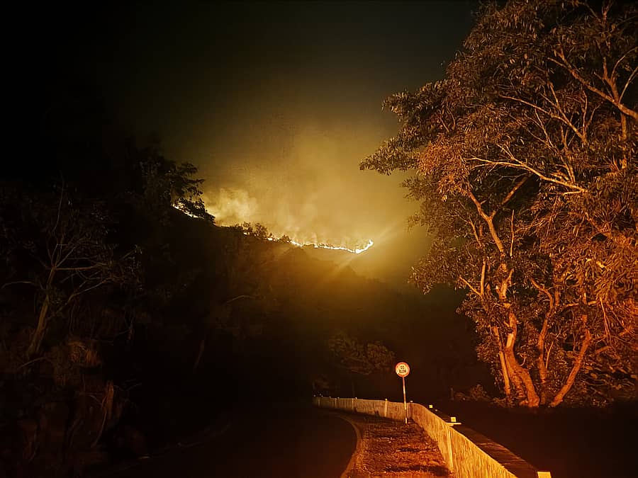 ಮೂಡಿಗೆರೆ ತಾಲ್ಲೂಕಿನ ಚಾರ್ಮಾಡಿ ಘಾಟಿಯ ಬಿದಿರುತಳ ಪ್ರದೇಶದಲ್ಲಿ ಭಾನುವಾರ ತಡರಾತ್ರಿ ಕಾಳ್ಗಿಚ್ಚು ಕಾಣಿಸಿಕೊಂಡಿತ್ತು