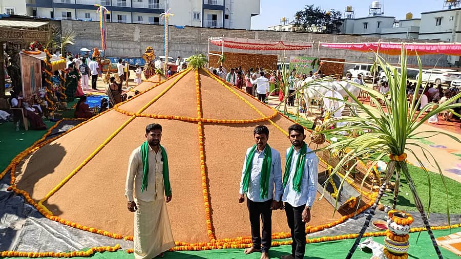 ಆನೇಕಲ್ ತಾಲ್ಲೂಕಿನ ತಿಂಡ್ಲು ಗ್ರಾಮದಲ್ಲಿ ಭೈರೇಗೌಡ ಮತ್ತು ಕುಟುಂಬದವರು 350ಕ್ವಿಂಟಾಲ್ ರಾಗಿ ಬೆಳೆದಿದ್ದು ಭಾನುವಾರ ರಾಗಿ ರಾಶಿ ಪೂಜೆ ಮಾಡಲಾಯಿತು