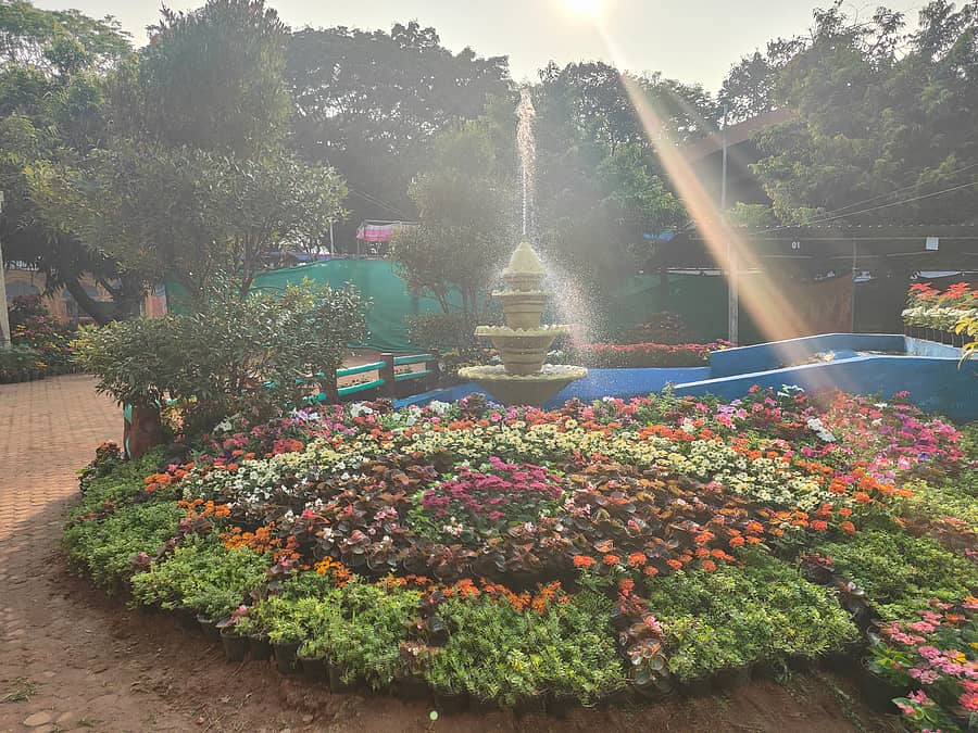 ಫಲ ಪುಷ್ಪ ಪ್ರದರ್ಶನದ ಅಂಗವಾಗಿ ಮಂಗಳೂರಿನ ಕದ್ರಿ ಉದ್ಯಾನದಲ್ಲಿ ಹೂವಿನ ಗಿಡಗಳನ್ನು ಜೋಡಿಸಲಾಗಿದೆ