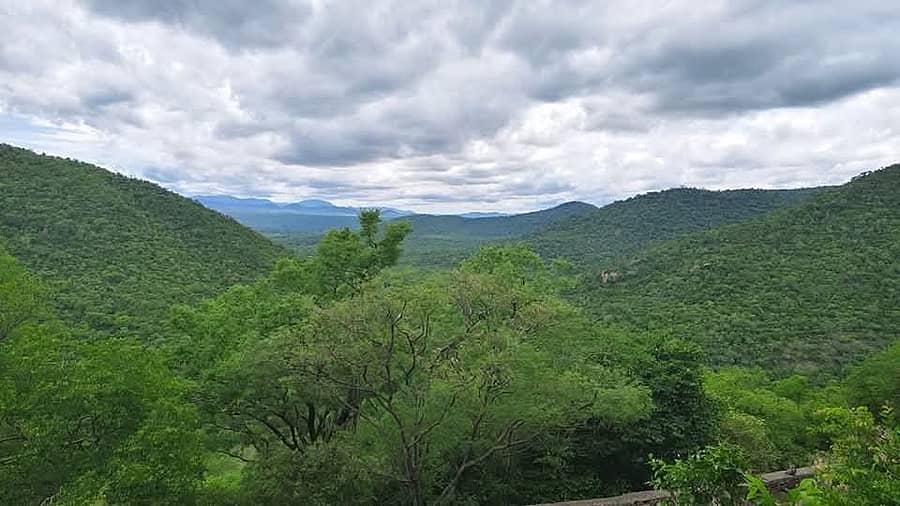 ಹನೂರು ತಾಲ್ಲೂಕಿನ ಮಲೆ ಮಹದೇಶ್ವರ ವನ್ಯಧಾಮದ ನೋಟ