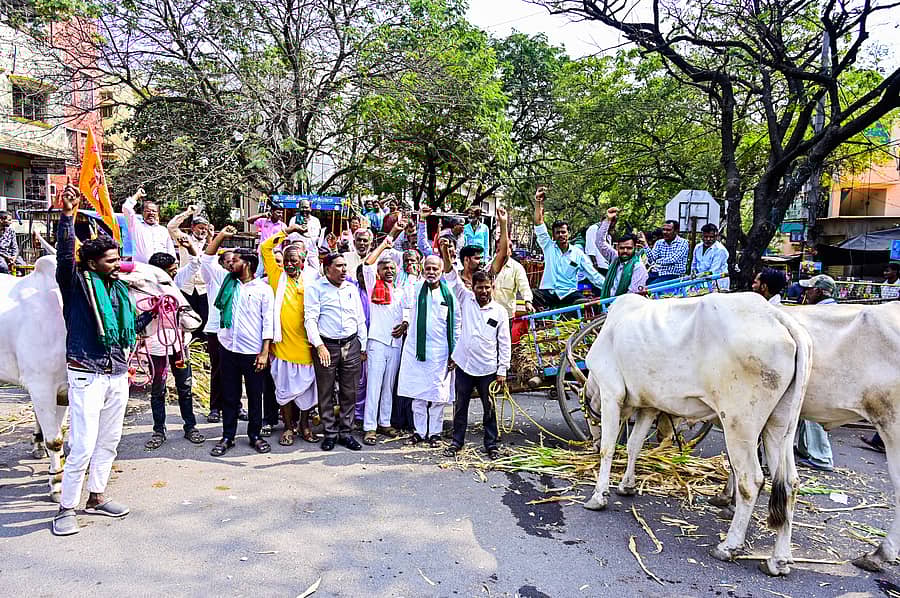 ಕಲಬುರಗಿಯ ಜಿಲ್ಲಾಧಿಕಾರಿ ಕಚೇರಿ ಮುಂದೆ ಗುರುವಾರ ಸಂಯುಕ್ತ-ಹೋರಾಟ ಕರ್ನಾಟಕ ಸಂಘಟನೆಯ ಸದಸ್ಯರು ಎತ್ತಿನ ಬಂಡಿ ಮತ್ತು ಟ್ಯ್ರಾಕ್ಟರ್‌ಗಳೊಂದಿಗೆ ಧರಣಿ ಸತ್ಯಾಗ್ರಹ ನಡೆಸಿದರು          ಪ್ರಜಾವಾಣಿ ಚಿತ್ರ
