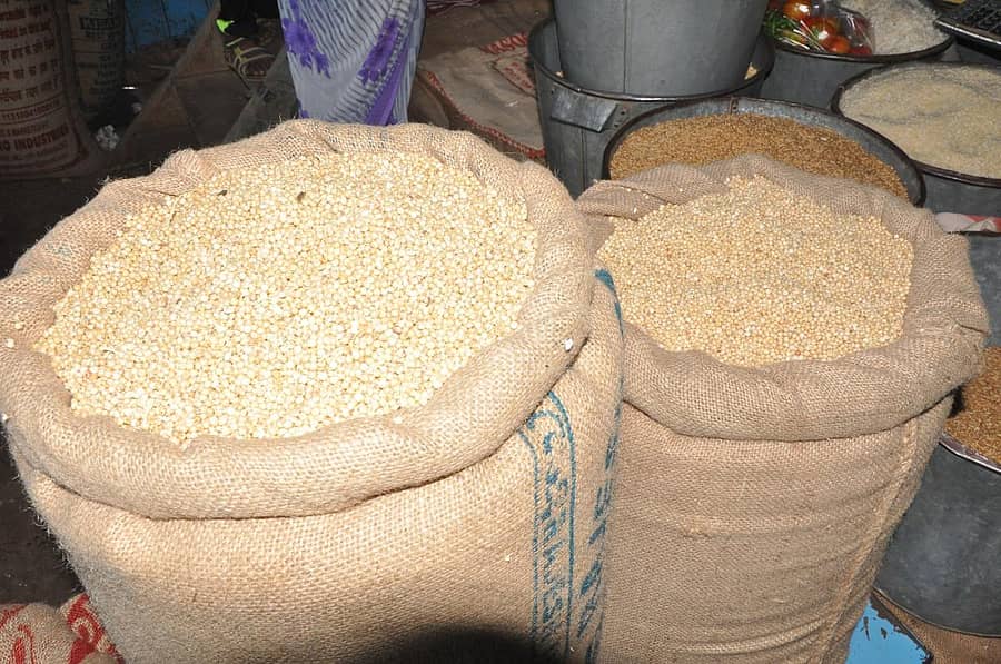 ಗೋಣಿ ಚೀಲದಲ್ಲಿ ಜೋಳ