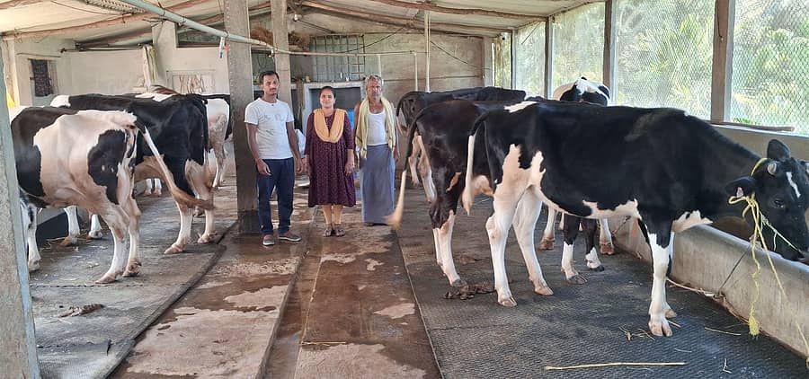 <div class="paragraphs"><p>ಹೈನುಗಾರಿಕೆ</p></div>