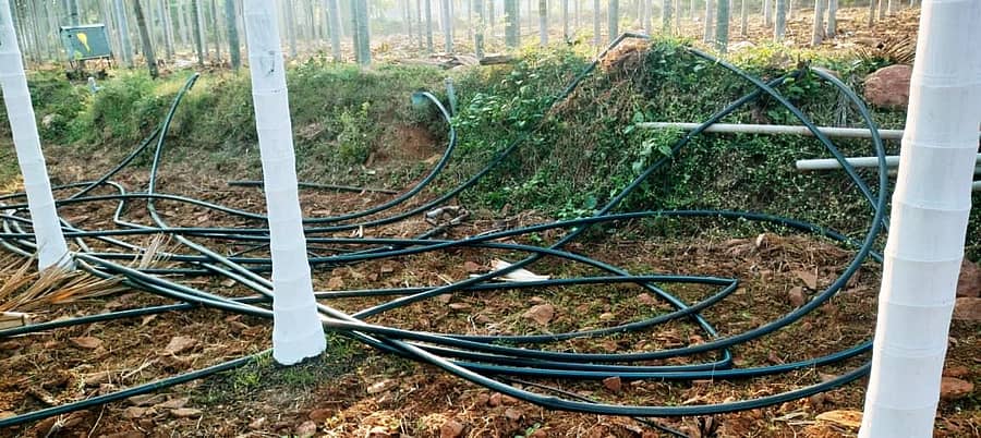 ಹುಳಿಯಾರು ಹೋಬಳಿ ರಂಗನಕೆರೆ ಗ್ರಾಮದ ಸ್ವಾಮಿ ಅವರಿಗೆ ಸೇರಿದ ಪಂಪ್ಸೆಟ್ನ ಕೇಬಲ್ ಕಳ್ಳತನವಾಗಿದೆ