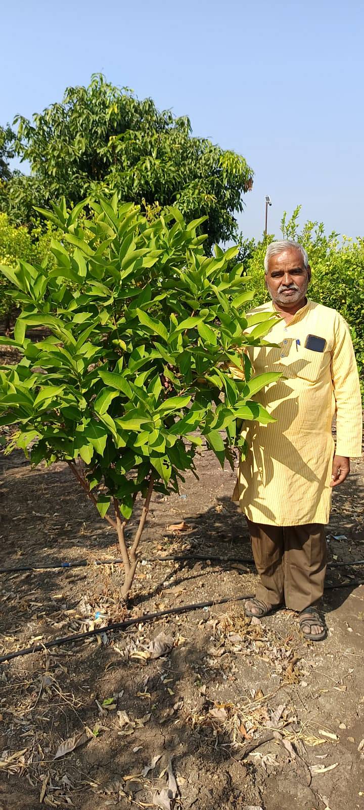 ವಾಟರ್ ಆಪಲ್ ಗಿಡದ ಪಕ್ಕದಲ್ಲಿ ರಮೇಶ ಕುರಿ