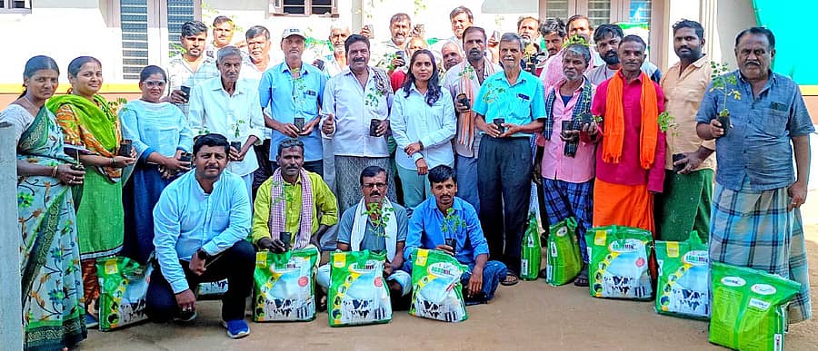ಬಸವಾಪಟ್ಟಣ ಸಮೀಪದ ದಾಗಿನಕಟ್ಟೆಯಲ್ಲಿ ಗುರುವಾರ ಬೆಂಗಳೂರಿನ ಕಾರ್ಪೊರೇಟ್ ಸೋಸಿಯಲ್ ರೆಸ್ಪಾನ್ಸಿಬಲಿಟಿ ಫೌಂಡೇಷನ್ ವತಿಯಿಂದ 30 ಜನ ಹಾಲು ಉತ್ಪಾದಕರಿಗೆ ಪಶು ಆಹಾರ ಮತ್ತು ನುಗ್ಗೆ ಸಸಿಗಳನ್ನು ಉಚಿತವಾಗಿ ವಿತರಿಸಲಾಯಿತು