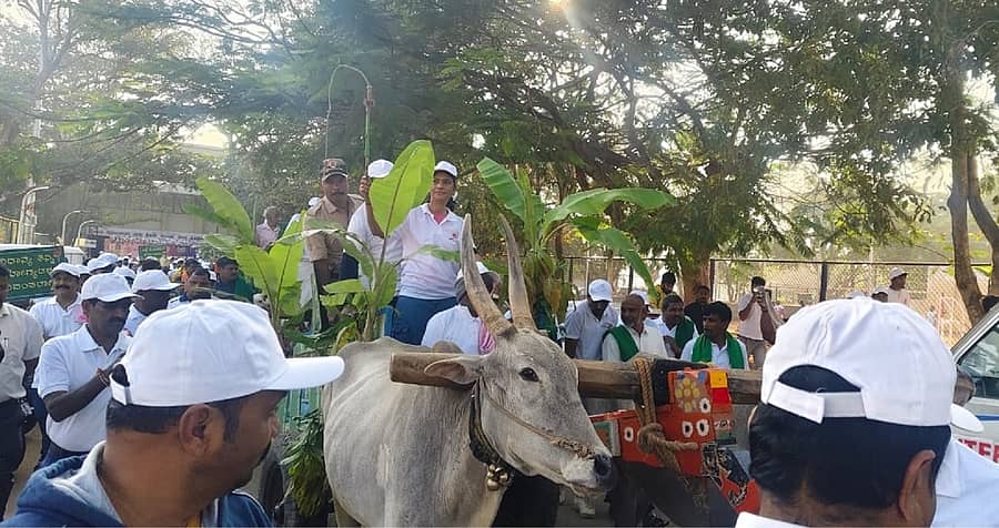 ಹಾಸನದಲ್ಲಿ ಶುಕ್ರವಾರ ಆಯೋಜಿಸಿದ್ದ ಜಾಗೃತಿ ಜಾಥಾದ ಅಂಗವಾಗಿ ಎತ್ತಿನಗಾಡಿಯಲ್ಲಿ ಸಂಚರಿಸಿದ ಜಿಲ್ಲಾಧಿಕಾರಿ ಕೆ.ಎಸ್. ಲತಾಕುಮಾರಿ ಅರಿವು ಮೂಡಿಸಿದರು