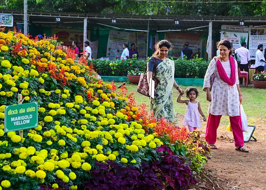 ಕದ್ರಿ ಉದ್ಯಾನದ ಫಲ ಫುಷ್ಪ ಪ್ರದರ್ಶನದಲ್ಲಿ ಹೂಗಳ ಸೌಂದರ್ಯ ಆಸ್ವಾದಿಸುತ್ತಿರುವುದು  ಪ್ರಜಾವಾಣಿ ಚಿತ್ರ
