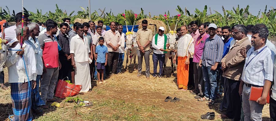ಬೆಟ್ಟದಪುರ ಹೊರವಲಯದ ಹರದೂರು ಗೇಟ್ ಬಳಿ ಸಿಡಿಲು (ಶಿಡ್ಲು) ಮಲ್ಲಿಕಾರ್ಜುನ ಸ್ವಾಮಿ ಜಾನುವಾರು ಜಾತ್ರೆಗೆ ತಹಶೀಲ್ದಾರ್ ನಿಸರ್ಗಪ್ರಿಯ ಶುಕ್ರವಾರ ಚಾಲನೆ ನೀಡಿದರು. ರಾಜಶೇಖರ್, ಶಶಿಧರ್, ದೇವರಾಜು, ಸಂದೀಪ್,ಕೃಷ್ಣಪ್ರಸಾದ್ ಪಾಲ್ಗೊಂಡಿದ್ದರು