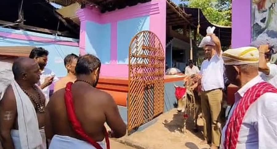 ವಿರಾಜಪೇಟೆಯಲ್ಲಿ ಬೈತೂರು ಉತ್ಸವದ ಅಂಗವಾಗಿ ಎತ್ತ್ ಪೋರಾಟ್ ನಡೆಯಿತು