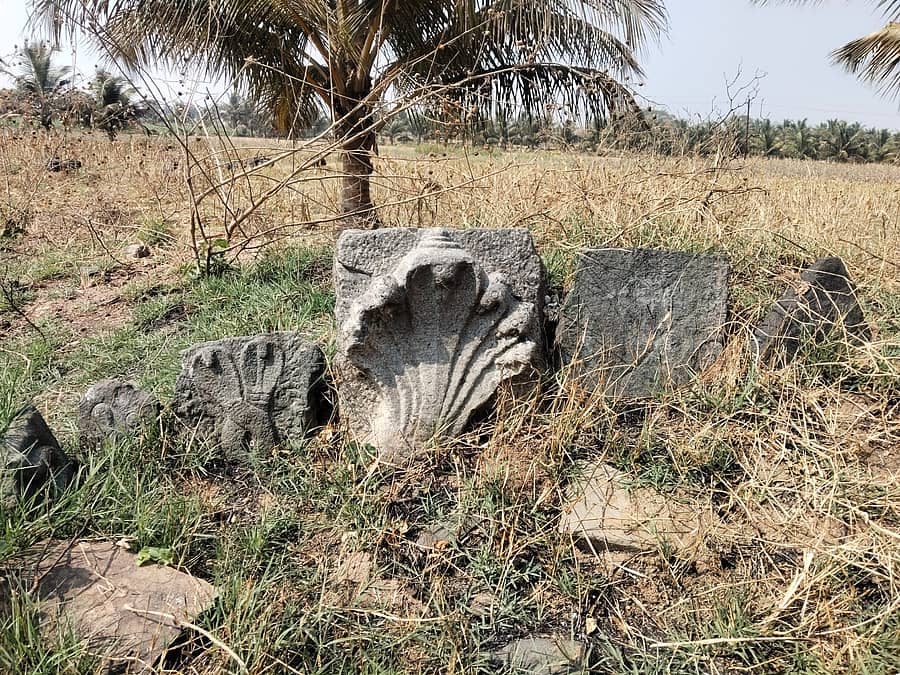 ಲಕ್ಕುಂಡಿ ಗ್ರಾಮದ ಷಣ್ಮುಖಪ್ಪ ರವದಿ ಅವರ ಜಮೀನಿನಲ್ಲಿ ಪತ್ತೆಯಾದ ಏಳು ಹಡೆಯ ನಾಗರ ಶಿಲ್ಪ