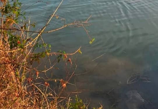 ಆನವಟ್ಟಿ ಸಮೀಪದ ಕಾನಕೊಪ್ಪ ಹೊಸೂರು ಬಳಿಯ ಕೆರೆಯಲ್ಲಿ ಬಿದ್ದಿರುವ ಕಾರು, ರಾಮಚಂದ್ರ ಅವರನ್ನು ಶೋಧ ಮಾಡುತ್ತಿರುವ ಈಜು ತಜ್ಞರು