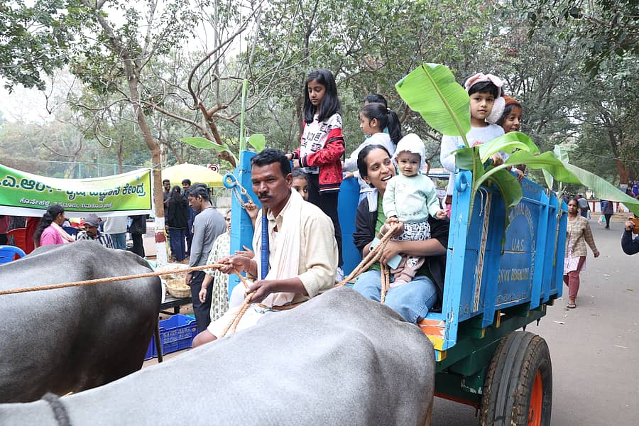 ರೈತ ಸಂತೆಯಲ್ಲಿ ಎತ್ತಿನಗಾಡಿ ಸವಾರಿ ಮಾಡಿದ ಚಿಣ್ಣರು