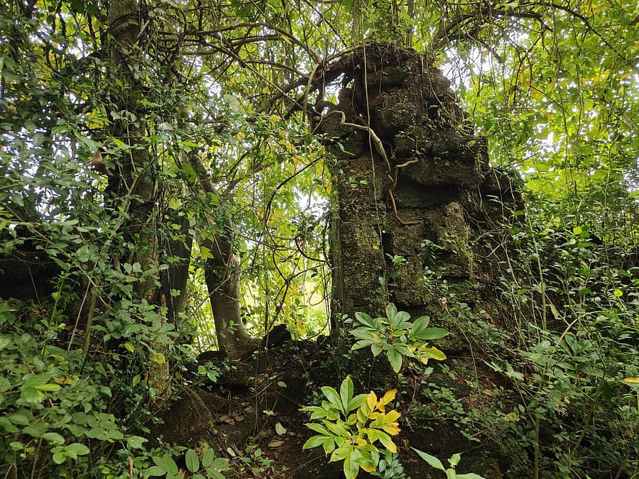 ಕಾರವಾರ ತಾಲ್ಲೂಕಿನ ಮುಡಗೇರಿಯಲ್ಲಿ ಅವಸಾನದ ಸ್ಥಿತಿಯಲ್ಲಿರುವ ಸೋದೆ ಅರಸರ ಕಾಲದ ಕೋಟೆಯೊಂದರ ಪ್ರವೇಶ ದ್ವಾರ.