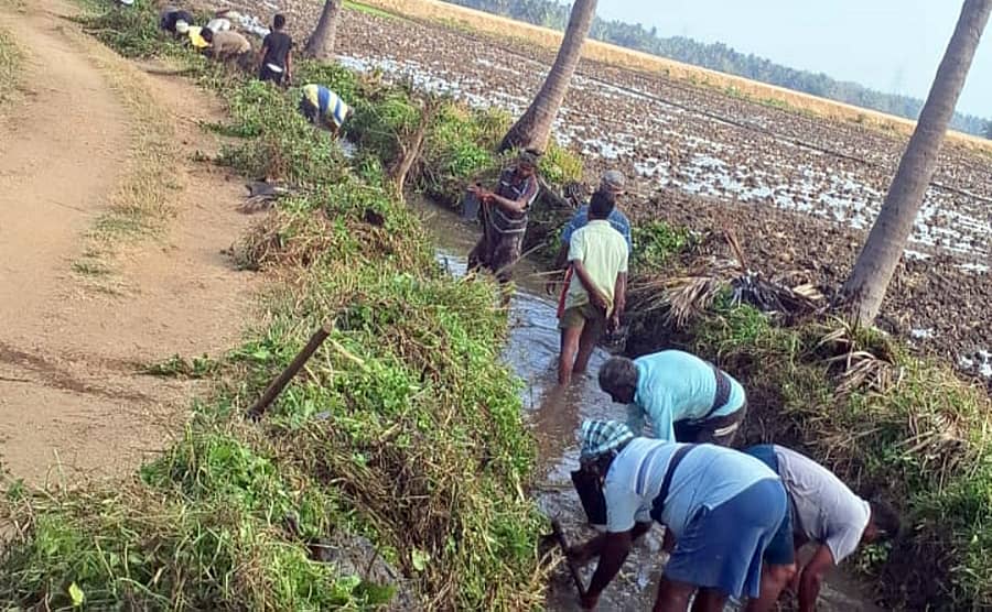 ಶ್ರೀರಂಗಪಟ್ಟಣ ತಾಲ್ಲೂಕಿನ ಬೆಳಗೊಳ ಮತ್ತು ಕಾರೇಕುರ ಗ್ರಾಮಗಳ ಕೃಷಿ ಭೂಮಿಗೆ ನೀರುಣಿಸುವ ವಿರಿಜಾ ನಾಲೆಯ 4ನೇ ಮೈಲಿ ವಿತರಣಾ ನಾಲೆಯನ್ನು ರೈತರು ಭಾನುವಾರ ಸ್ವಚ್ಛಗೊಳಿಸಿದರು