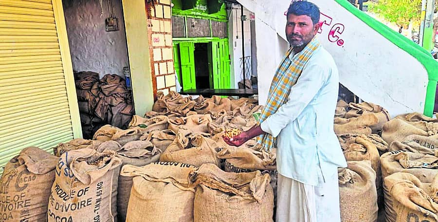 <div class="paragraphs"><p>ಕುಷ್ಟಗಿ ಎಪಿಎಂಸಿಯಲ್ಲಿ ಭಾನುವಾರ ಗರಿಷ್ಠ ಬೆಲೆಗೆ ಮಾರಾಟವಾದ ರೈತ ನಿಂಗಪ್ಪ ಪರಂಗಿ ಅವರ ಗೆಜ್ಜೆಶೇಂಗಾ</p></div>