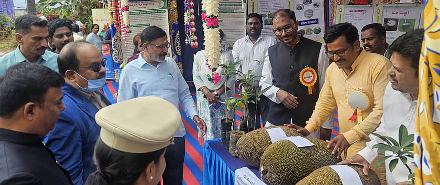 ಕೋಲಾರದ ಫಲಪುಷ್ಪ ಪ್ರದರ್ಶನದ ತೋಟಗಾರಿಕಾ ಮಹಾವಿದ್ಯಾಲಯದ ಮಳಿಗೆಯಲ್ಲಿ ಇಟ್ಟಿದ್ದ ಅಕಾಲಿಕ ಹಲಸಿನ ಹಣ್ಣುಗಳ ಕುರಿತು ಜಿಲ್ಲಾಧಿಕಾರಿ ಎಂ.ಆರ್‌.ರವಿ ಮಾಹಿತಿ ಪಡೆದರು